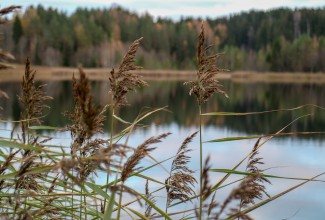 kristin-wilson-RCcLIJvLCkY-unsplash