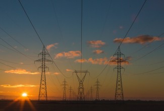 Elektriliinid looduses